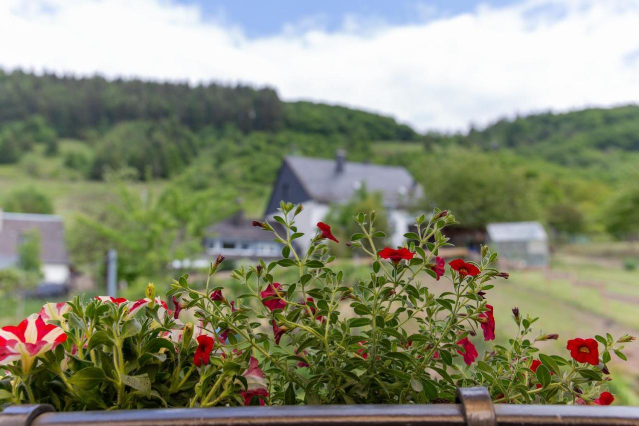 Ferienwohnungen Schorn Burg  Zewnętrze zdjęcie
